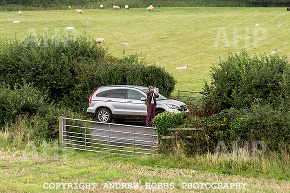 Flying Scotsman WSR_AHP_1810
