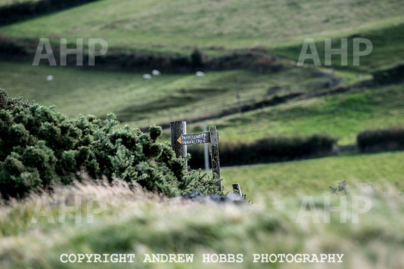 Exmoor Sep 2017_HOB_2367