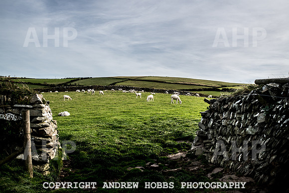 Exmoor Sep 2017_HOB_2376