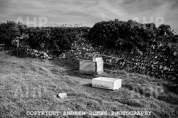 Exmoor Sep 2017_HOB_2378