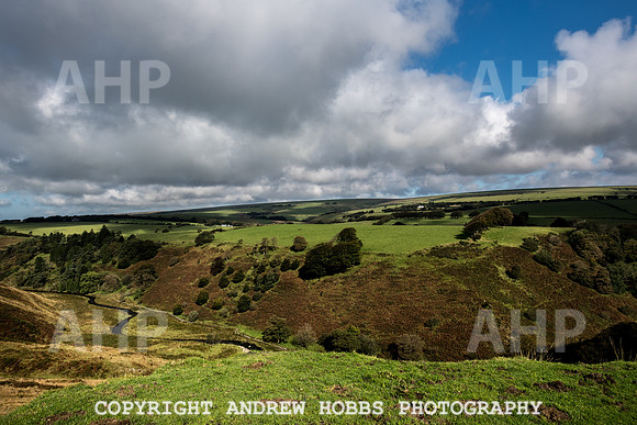 Exmoor Sep 2017_HOB_2261