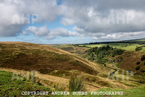 Exmoor Sep 2017_HOB_2262