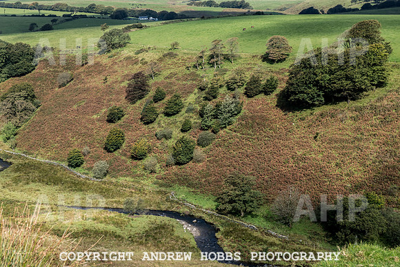 Exmoor Sep 2017_HOB_2264
