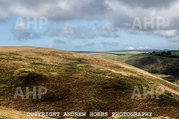 Exmoor Sep 2017_HOB_2267