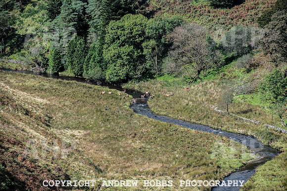Exmoor Sep 2017_HOB_2281