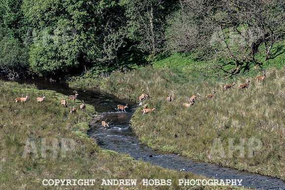 Exmoor Sep 2017_HOB_2282