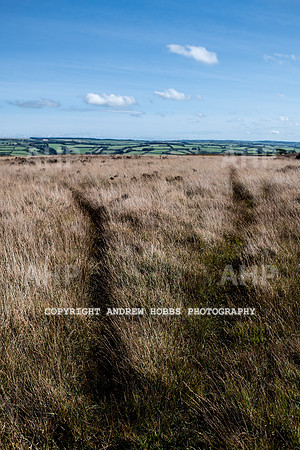 Exmoor Sep 2017_HOB_2320