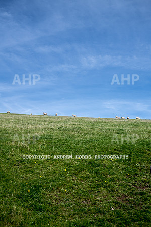 Exmoor Sep 2017_HOB_2335