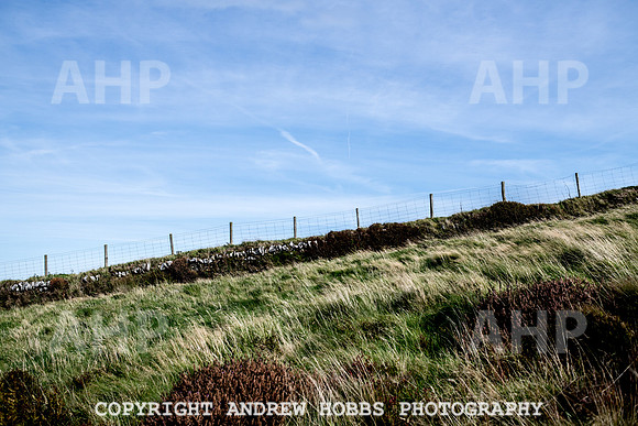 Exmoor Sep 2017_HOB_2339