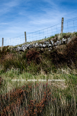 Exmoor Sep 2017_HOB_2340