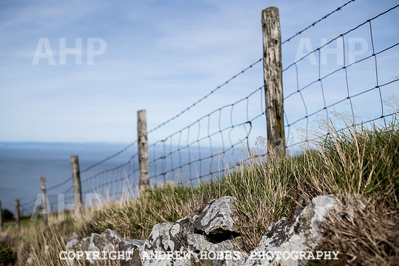 Exmoor Sep 2017_HOB_2342