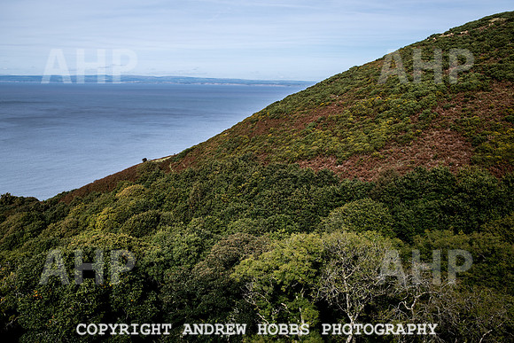 Exmoor Sep 2017_HOB_2346