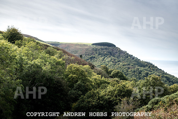 Exmoor Sep 2017_HOB_2353