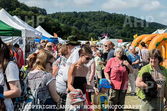Dunster Country Fair 2014 016