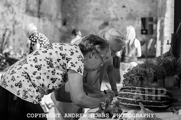 Wambrook Flower Show Centenary 166