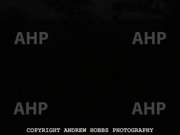 TI image-AHP_6842