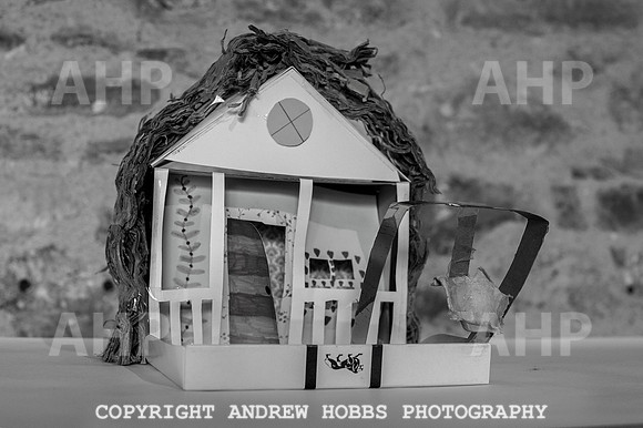Wambrook Flower Show Centenary 127