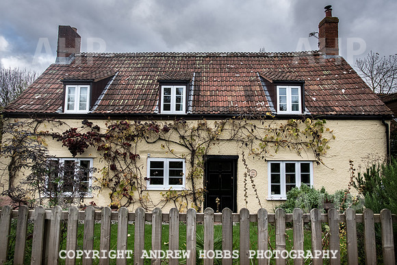Goathurst Walk Oct 2017_HOB_2776