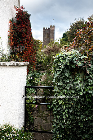 Goathurst Walk Oct 2017_HOB_2786