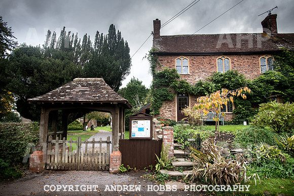 Goathurst Walk Oct 2017_HOB_2787