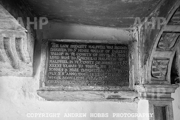 Goathurst Walk Oct 2017_HOB_2805