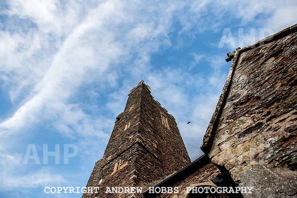 Goathurst Walk Oct 2017_HOB_2813