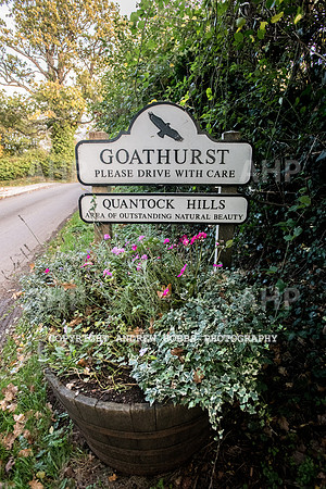 Goathurst Walk Oct 2017_HOB_3002