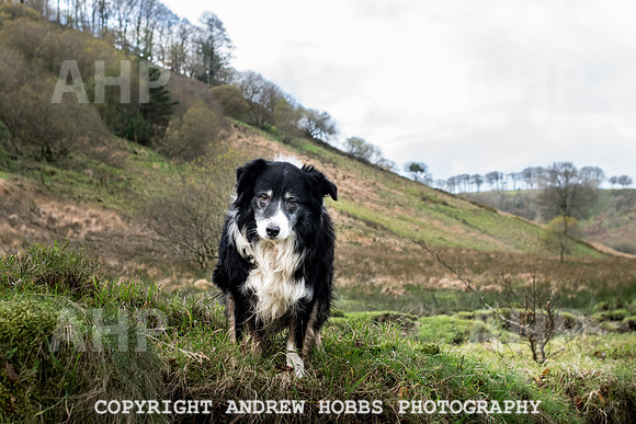 Brian Duke_HOB_3082