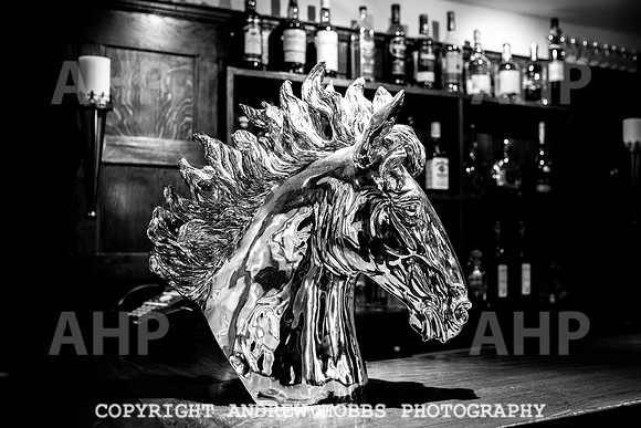 Tarr Steps Inn_HOB_3200