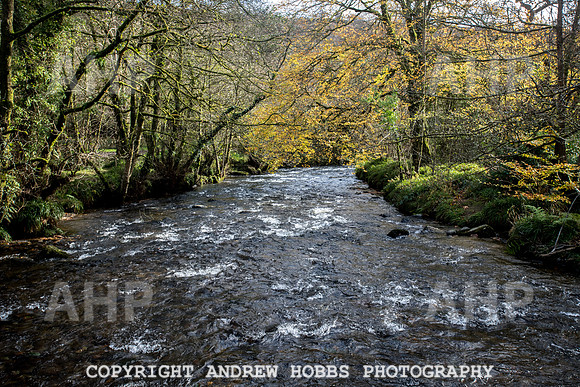 Tarr Steps Inn_HOB_3245