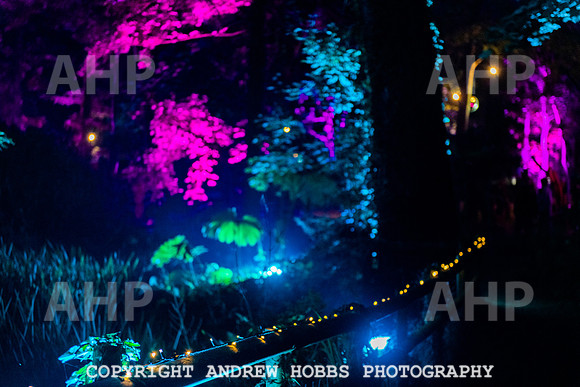 Camp Bestival 2022-8114