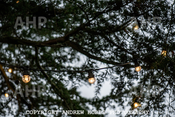Festive Lights_HOB_3847