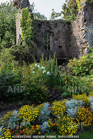 Tiverton Castle 016