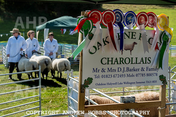 Dunster Show 2014 004