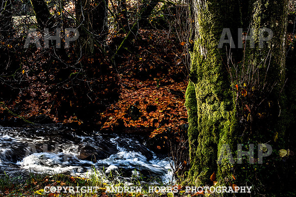 HOB_1367 copy
