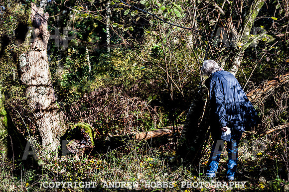 HOB_1371 copy