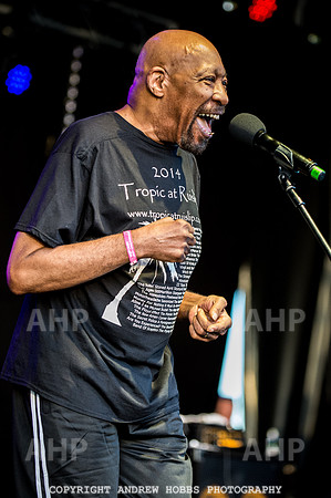 Watchet Festival 2016-5597