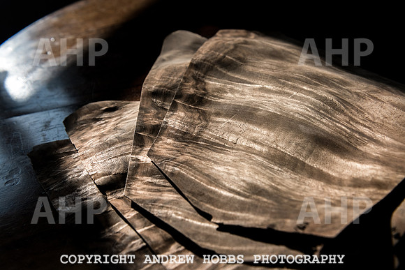 Mark Coray EM Feb 2018_HOB_4786