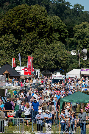 Dunster Show 2014 011
