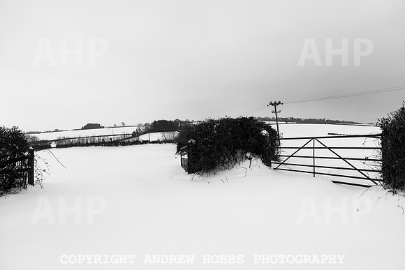 Snow 2018_HOB_5135