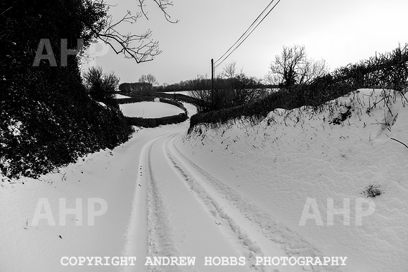 Snow 2018_HOB_5132