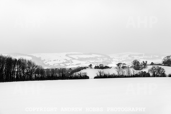 Snow 2018_HOB_5138