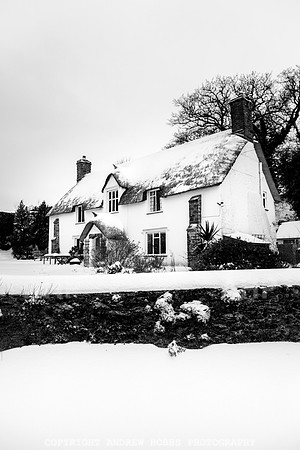 Snow 2018_HOB_5145