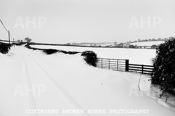 Snow 2018_HOB_5155