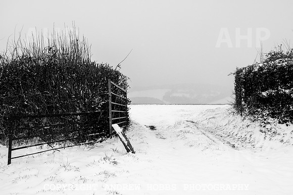 Snow 2018_HOB_5186