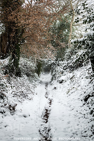 Snow 2018_HOB_5211