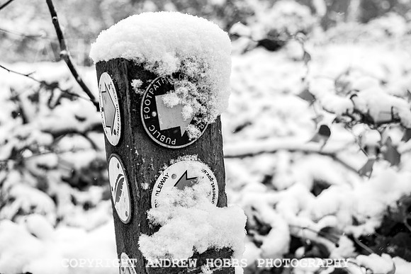 Snow 2018_HOB_5221