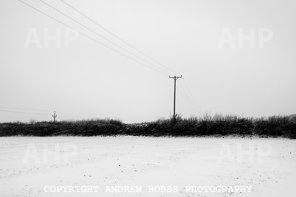 Snow 2018_HOB_5237
