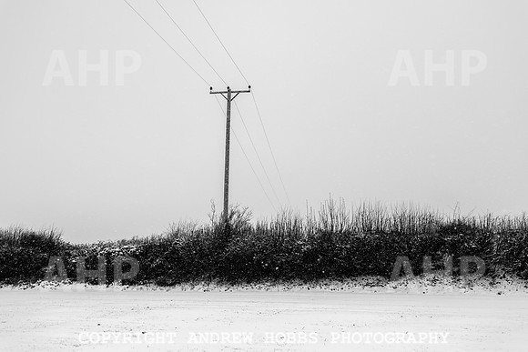 Snow 2018_HOB_5238