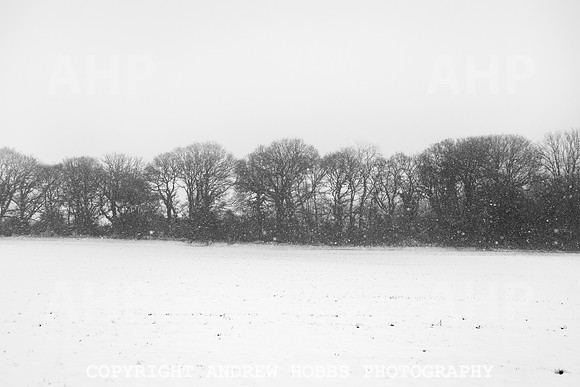 Snow 2018_HOB_5249